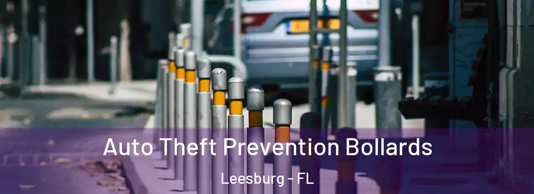 Auto Theft Prevention Bollards Leesburg - FL