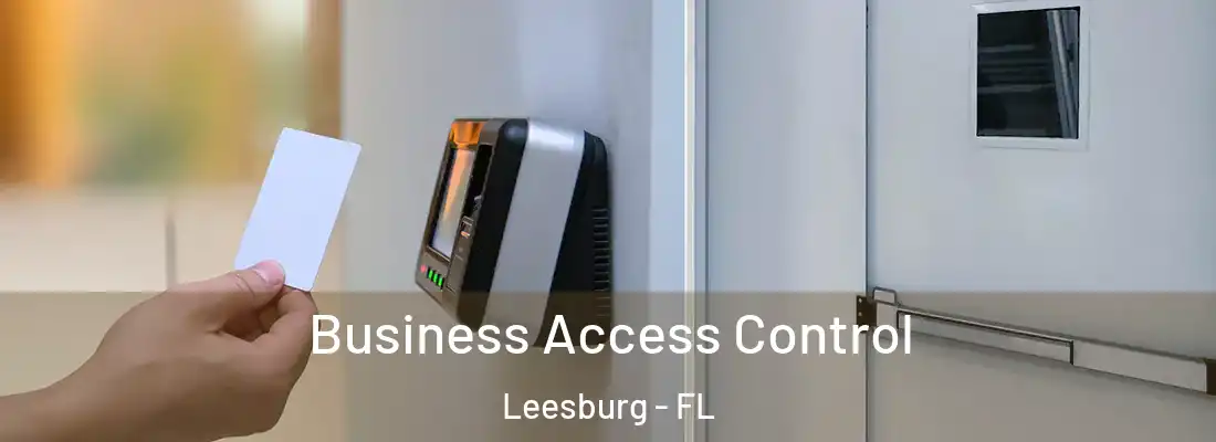 Business Access Control Leesburg - FL