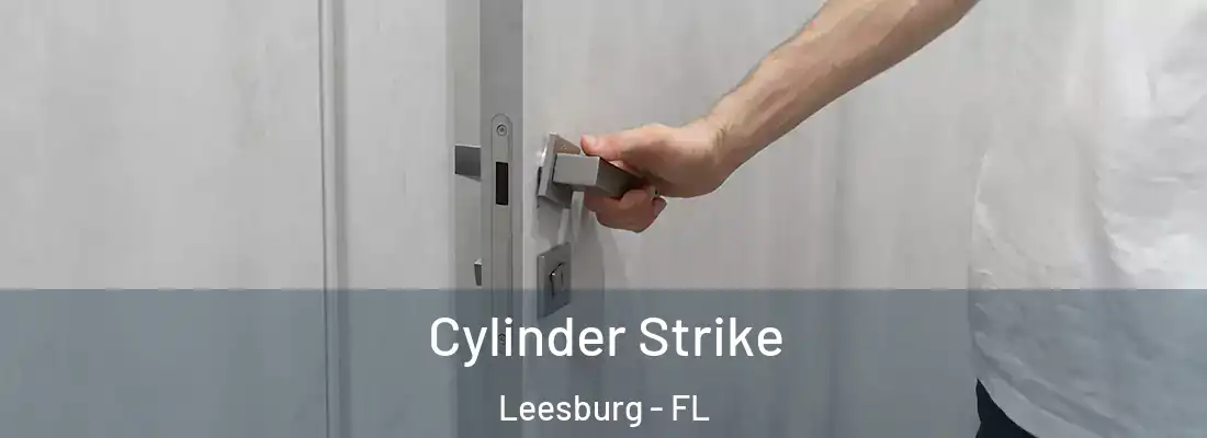 Cylinder Strike Leesburg - FL