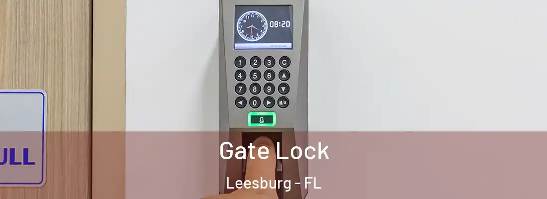 Gate Lock Leesburg - FL