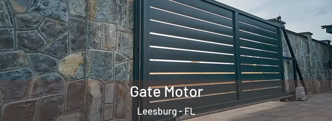 Gate Motor Leesburg - FL