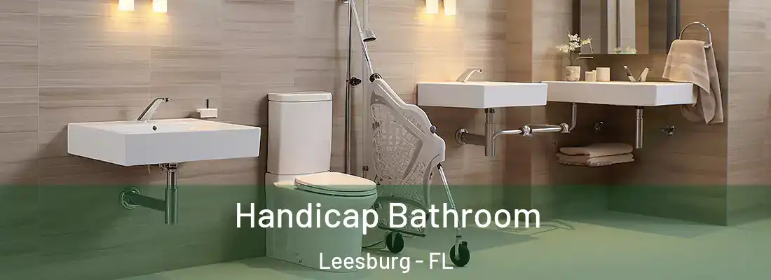 Handicap Bathroom Leesburg - FL