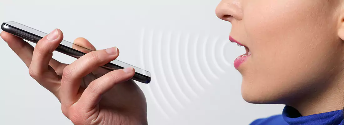 Residential and Commercial Voice Recognition Access Solutions in Leesburg, FL