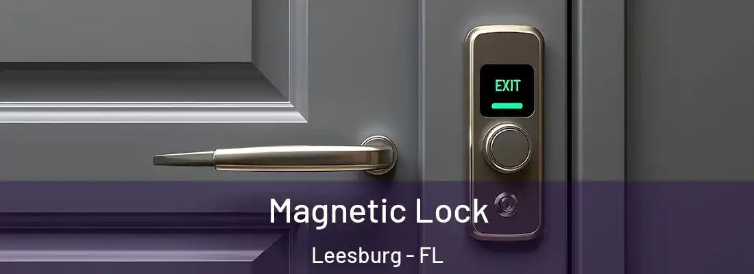 Magnetic Lock Leesburg - FL