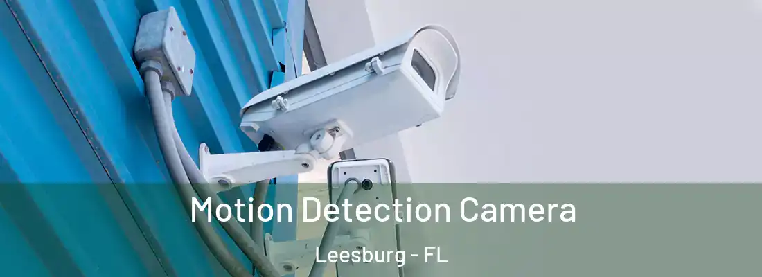 Motion Detection Camera Leesburg - FL