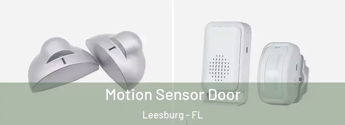 Motion Sensor Door Leesburg - FL