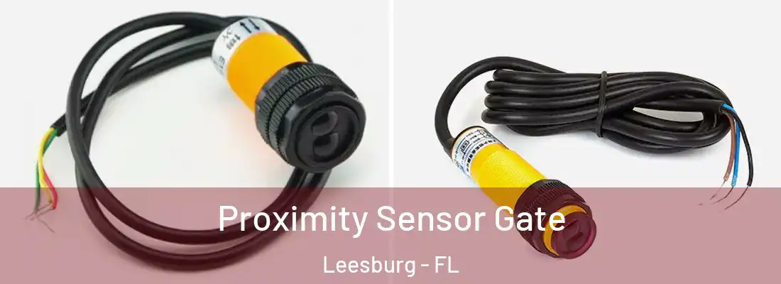 Proximity Sensor Gate Leesburg - FL